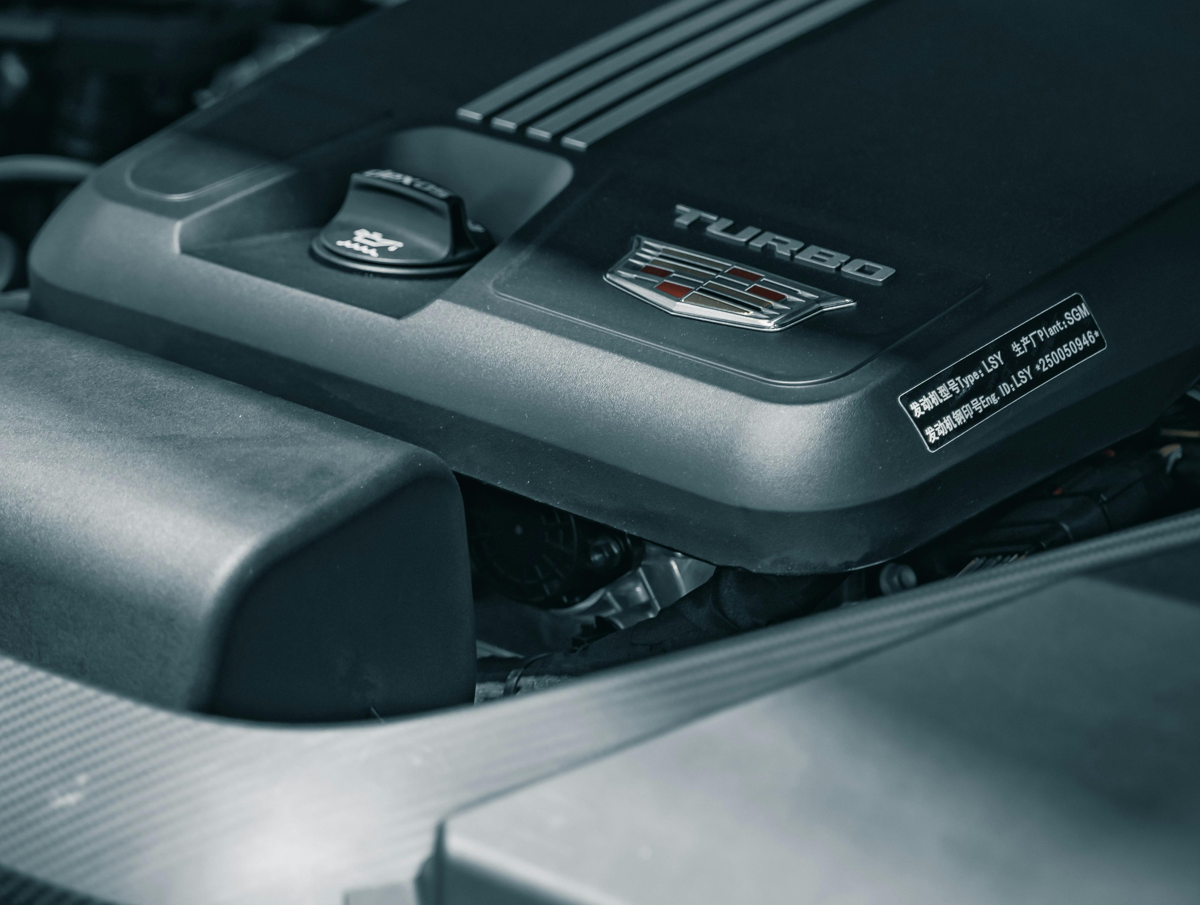 Kurze Beschreibung des Bildes